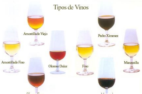 Vinos de Jerez